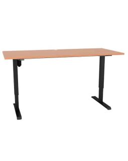 Electric Sit Stand Desk